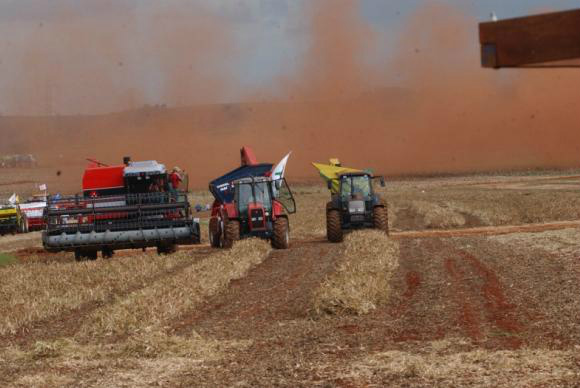 Conab prevê aumento de 15,3% na safra de grãos 2016/2017 Conab prevê aumento de 15,3% na safra de grãos 2016/2017Arquivo/Agência Brasil