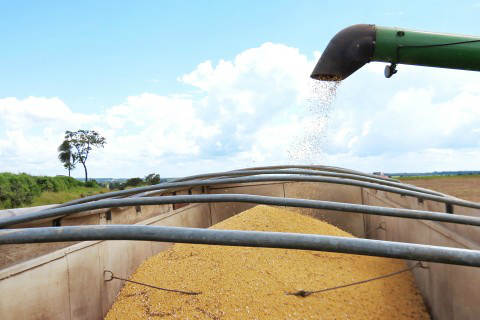 Foto: Assessoria de Imprensa Sistema Famasul