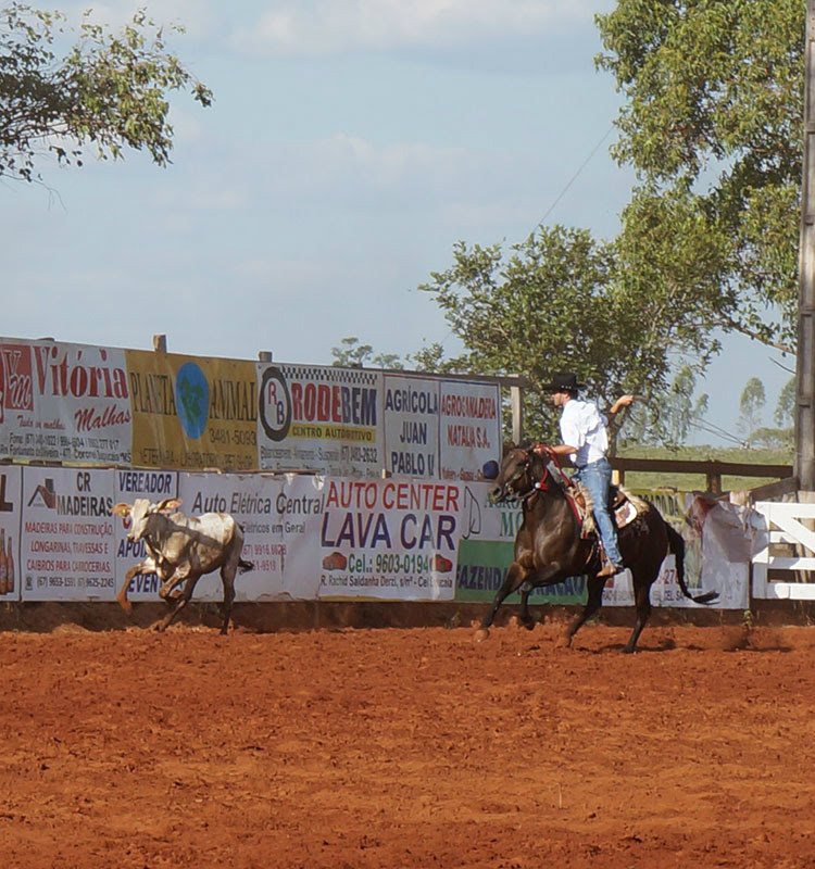O esporte que veio do campo conquista cada dia mais adeptos O esporte que veio do campo conquista cada dia mais adeptos