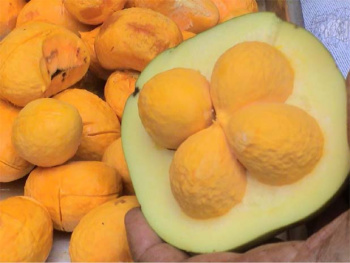 Brasil tem 21 sabores sob risco de extinção Pequi é um dos sabores em risco de extinção. Foto: José Felipe Ribeiro