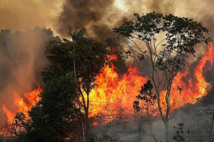 E a Amazônia? Incêndios florestais ganham as redes sob silêncio do governo Incêndio florestal no bioma amazônico: desmatamento ilegal e clima seco contribuem para alta. (Mario Tama / Equipe/Getty Images)