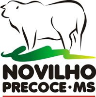 Novilho Precoce MS completa 13 anos