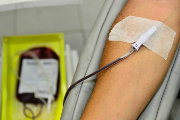 O Sistema Hemovida Web - Módulo Transfusional, deve facilitar a rastreabilidade de componentes do sangue, como plasma, plaquetas e hemácias / Fernando Frazão