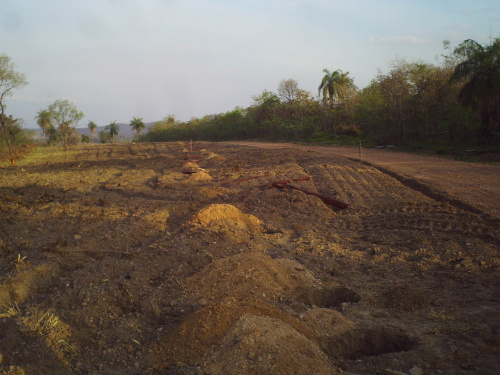 PMA autua proprietária rural por desmatamento ilegal de 1.100 hectares