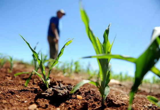 Novo plano de reforma agrária deve assentar 120 mil famílias até 2018