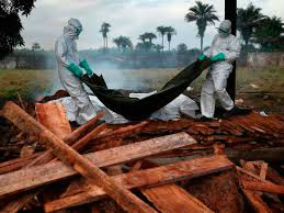 Vírus ebola vai chegar à China, alerta cientista