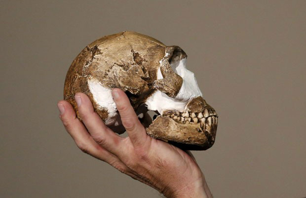 Ossadas de espécie humana desconhecida são encontradas na África do Sul Ossadas de espécie humana desconhecida são encontradas na África do Sul