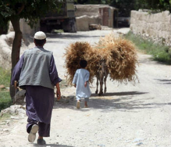 Um agricultor afegão e seu filho trazendo trigo da colheita. Foto: FAO/Giuilio Napolitano