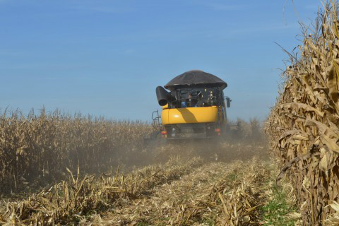 EUA: USDA aponta 70% da área de soja já colhidos e 46% para o milho Foto: Ascom Famasul