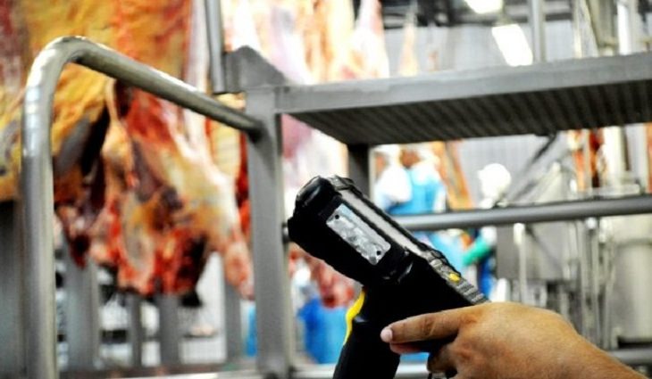 Curso de Responsável Técnico do Programa Precoce/MS agora é on-line Foto:Divulgação