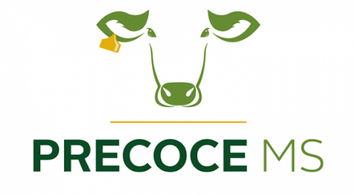 Curso de Responsável Técnico do Programa Precoce/MS agora é on-line Foto:Divulgação