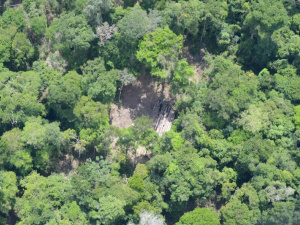 Petrobras destina mais de R$ 110 milhões para preservação da biodiversidade