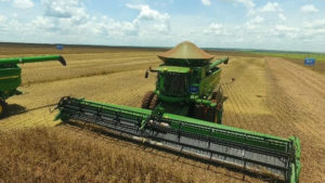 Colheita chega a 10% das lavouras de soja do estado