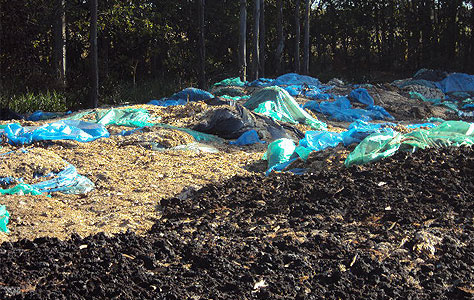 Empresa é multada em R$ 40 mil por manter materiais orgânicos a céu aberto