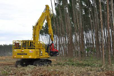 Setor ecônomico do Estado tem melhor IDR do paísFoto: Bruno Chaves/Arquivo Capital News