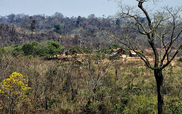 Terra indígena no interior do Maranhão. Ruralistas ampliam ataques à demarcação de reservas.