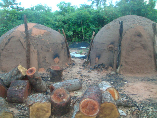 PMA fecha carvoaria em assentamento de Terenos e aplica multa de R$ 8,5 mil