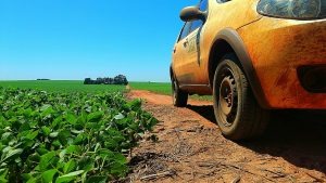 Plantio no Estado está na reta final com 95% da soja semeada Foto: Divulgação