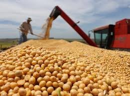 China substituirá soja dos EUA por produto do Brasil e outros países