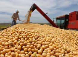 China substituirá soja dos EUA por produto do Brasil e outros países China substituirá soja dos EUA por produto do Brasil e outros países