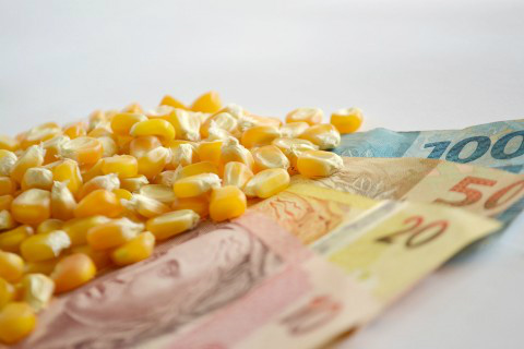 Foto: Ascom Famasul