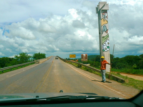 Dnit e Ibama começam viabilizar a primeira rodovia ecológica no Estado