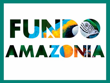 Fundo Amazônia: R$ 200 mi para recuperação da vegetação Fundo Amazônia: R$ 200 mi para recuperação da vegetação