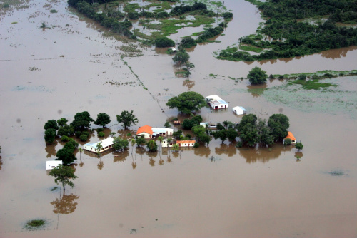 Pecuaristas pantaneiros querem medidas para atenuar perda de rebanho