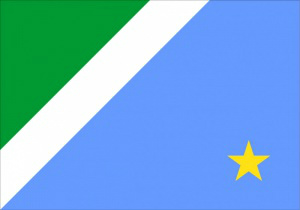 Bandeira do MS