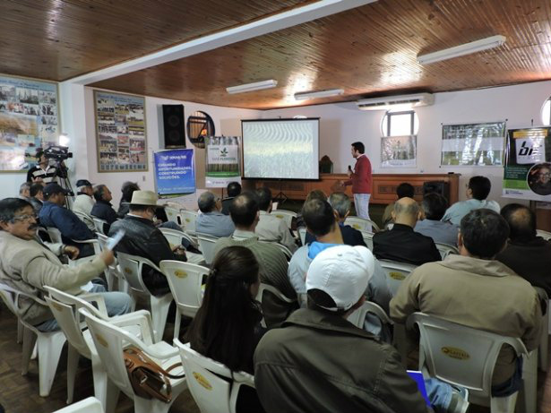 Novas perspectivas para a erva-mate em Mato Grosso do Sul Foto: Divulgação