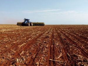 Produtores semearam 73% da área no Brasil Foto: Divulgação