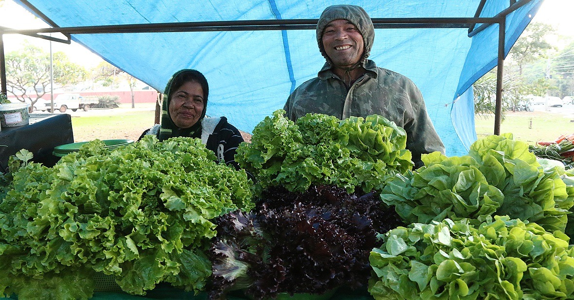 Agricultura familiar estimula consumo sustentável e fortalece economia regional Agricultura familiar estimula consumo sustentável e fortalece economia regional