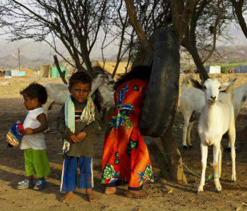 Crianças e animais em campo de refugiados no Iêmen. Foto: Acnur/H.Macleod
