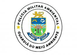 Pecuarista é atuado por armazenamento ilegal de aroeira