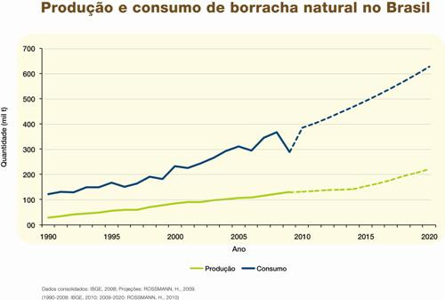 Governo estimula produção de borracha para atender crescente demanda interna