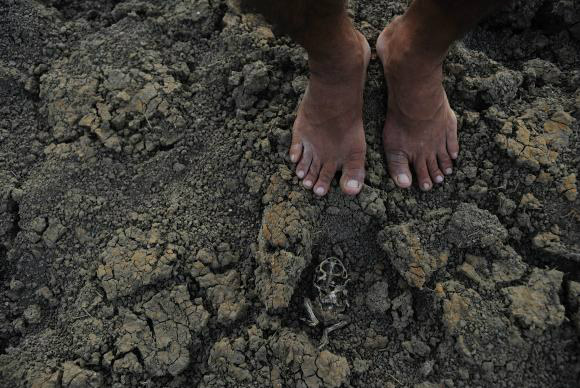 Defesa Civil reconhece emergência em 223 cidades de sete estados brasileiros Na Bahia, oito cidades enfrentam longo período de estiagemFoto: Divulgação