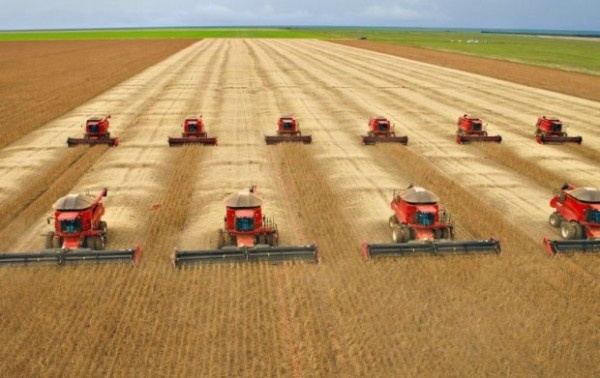 Profissionais do campo debatem expectativas econômicas e climáticas para safra Profissionais do campo debatem expectativas econômicas e climáticas para safra