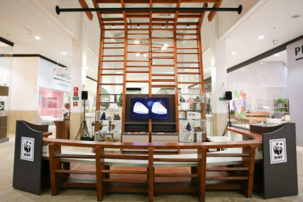 Exposição em shopping de Brasília visa promover o uso sustentável e responsável da madeira na construção civil     Foto: Divulgação