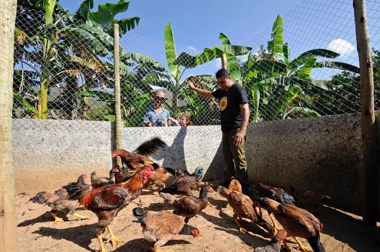 Conservação do lobo-guará beneficia produtores rurais, dizem biólogos Conservação do lobo-guará beneficia produtores rurais, dizem biólogos