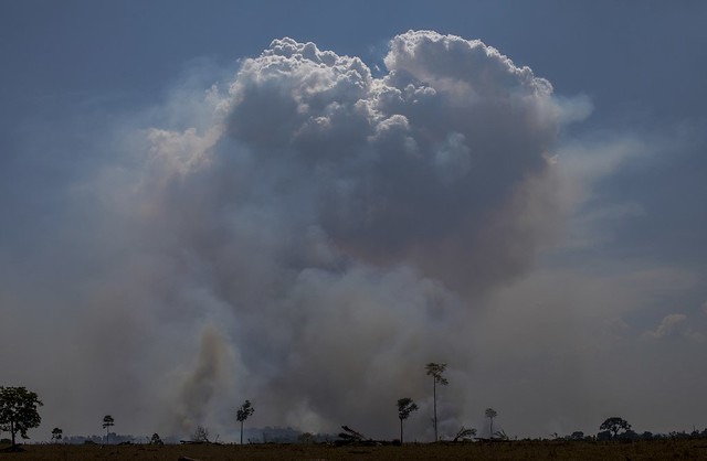 Jornalista que denunciou “dia do fogo” é atacado em Novo Progresso, no Pará Adecio Piran: “Estão fazendo uma corrente para retirar os patrocinadores do jornal. Nossa situação está muito complicada” / Foto: Joao Laet / AFP