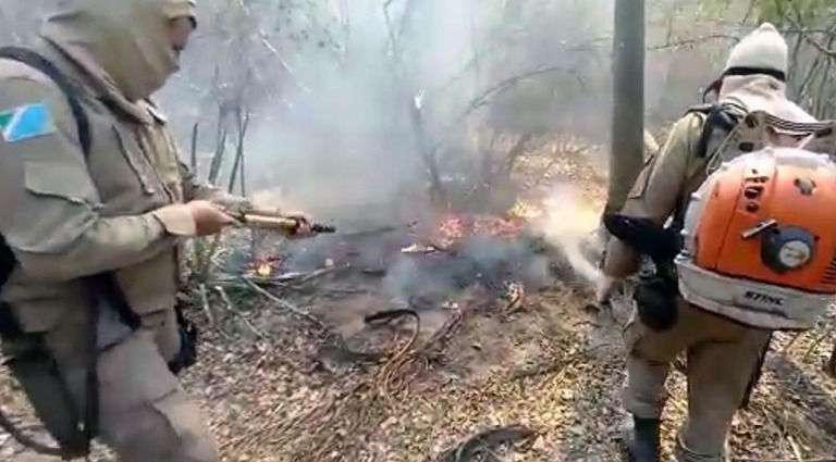 Bombeiros reforçam combate aos incêndios no Pantanal, Bela Vista e região Leste Foto: Corpo de Bombeiros MS