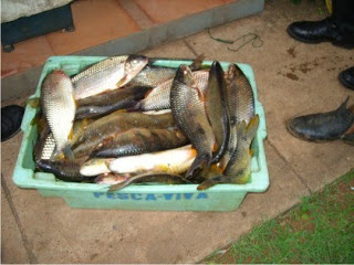 PMA autua em R$ 1.000,00 pescador paulista por pesca ilegal