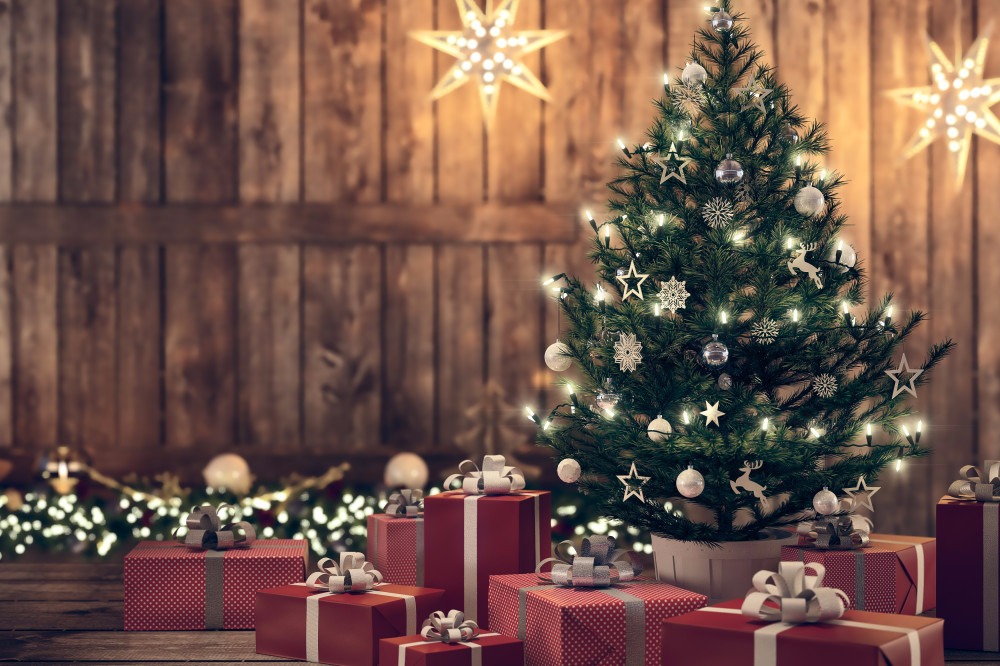 Como escolher a árvore de Natal perfeita para sua casa Foto: Divulgação