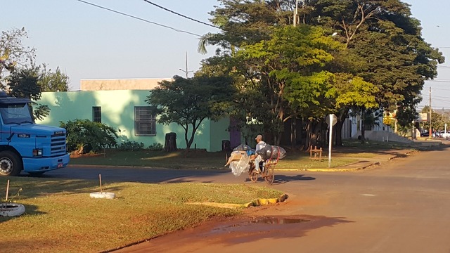 Imagem da Semana: uma profissão para além da sobrevivência Foto: Moreira Produções