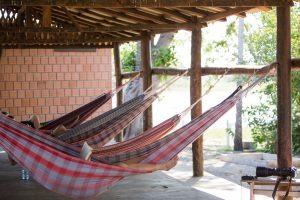 Queimadas no Pantanal não alcançam regiões de pousadas e hotéis fazenda de MS Queimadas no Pantanal não alcançam regiões de pousadas e hotéis fazenda de MS