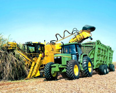 Produção da agroindústria cai 3,9% no semestre semestre, diz IBGE