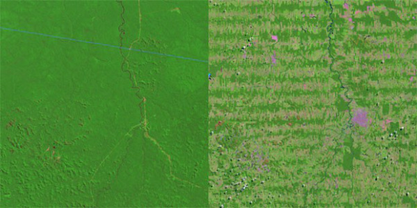 Nasa divulga imagem histórica que revela desmatamento na Amazônia Nasa divulga imagem histórica que revela desmatamento na Amazônia