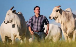 Brasil é o futuro da pecuária de corte