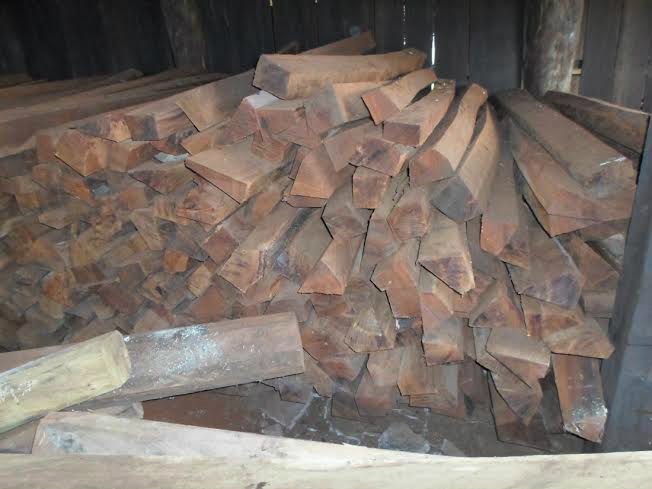 PMA autua fazendeira em R$ 21 mil por exploração ilegal de madeira