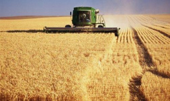 Avanço agrícola do País deve passar pelo desmatamento bom